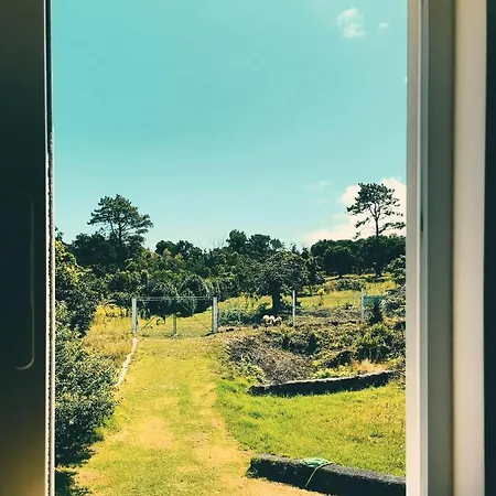 Quinta Almas Ferienhaus São Roque do Pico