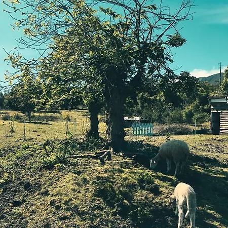 Ferienhaus Quinta Almas