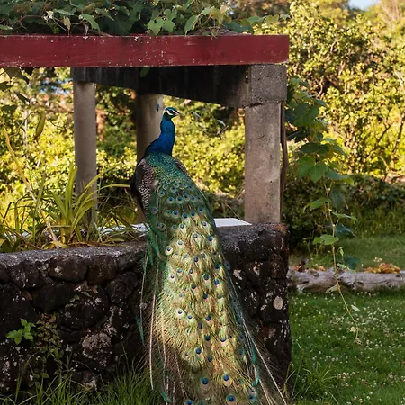 Quinta Almas Hébergement de vacances