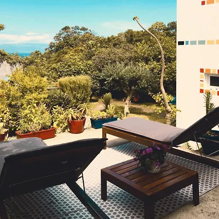 Quinta Almas Sao Roque do Pico
