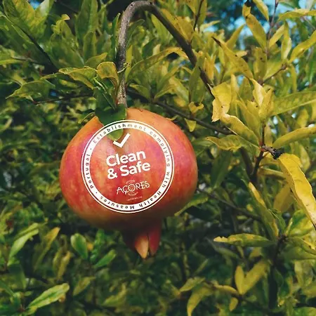 Сasa de vacaciones Quinta Almas São Roque do Pico