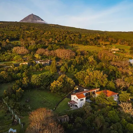 Quinta Almas