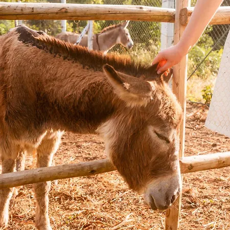 Quinta Almas Prázdninový dům São Roque do Pico