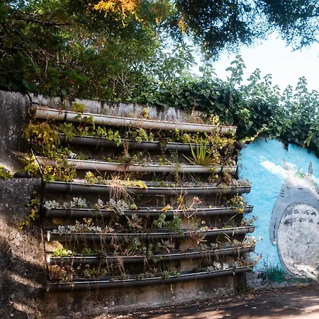 Quinta Almas
