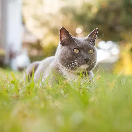 Quinta Almas Сasa de vacaciones