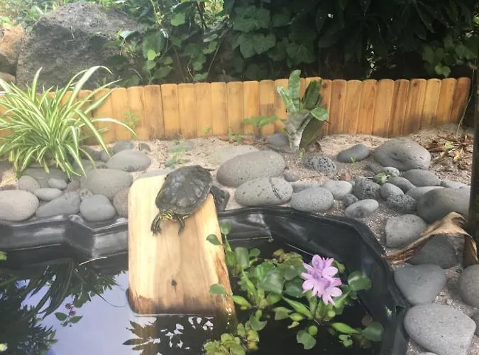 Quinta Almas Prázdninový dům *