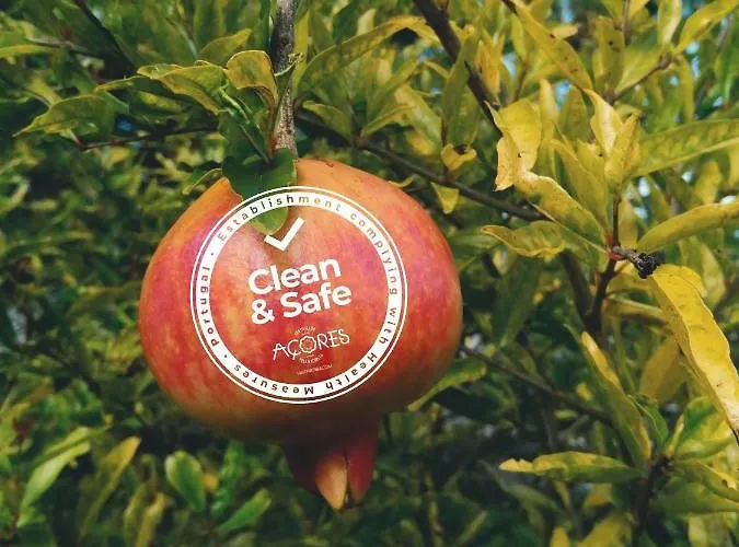 Holiday home Quinta Almas Sao Roque do Pico