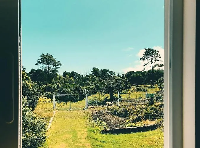 Quinta Almas Prázdninový dům São Roque do Pico