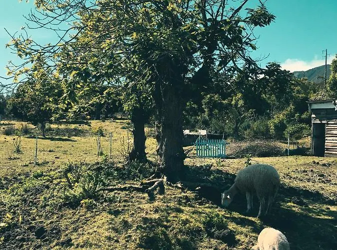 Prázdninový dům Quinta Almas