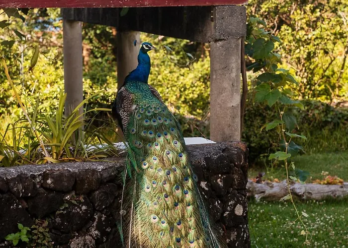 Quinta Almas Holiday home